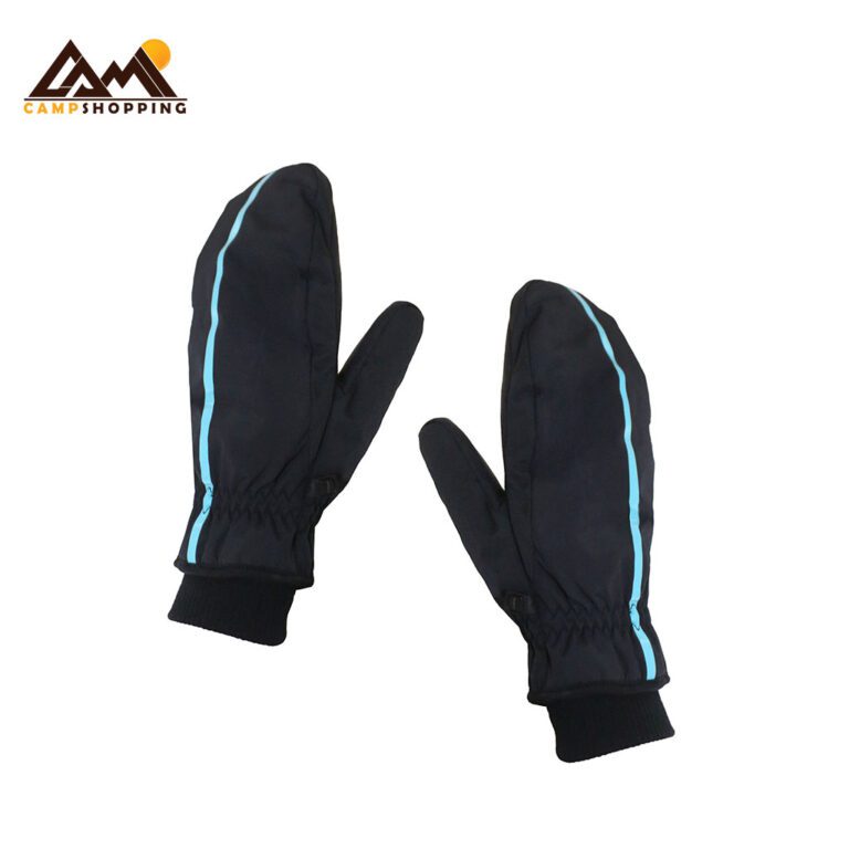 دستکش اسکی ای ایکس 2 کد 866076