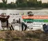 تصویر شاخص نمایشگاه کمپینگ و آفرود 1404